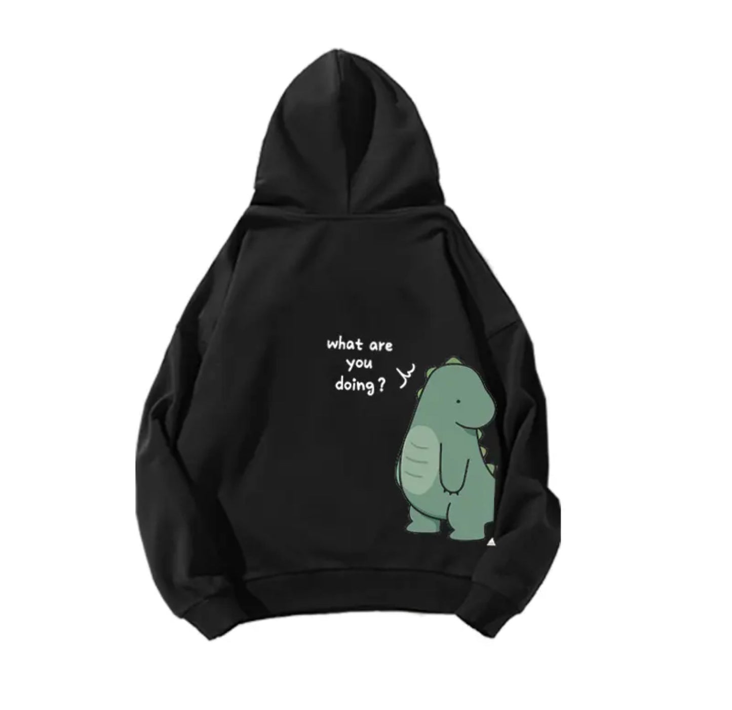 MATCHING DINO HOODIE